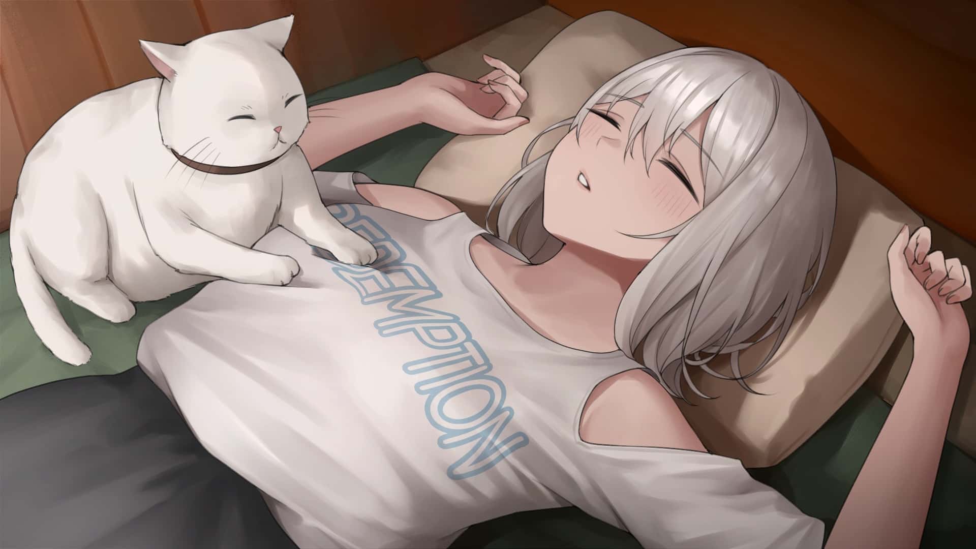视觉数据5